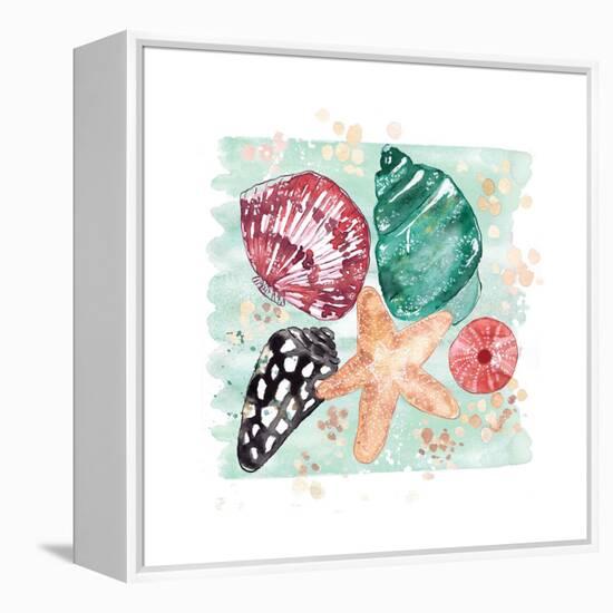 Beachcomber Shells-Sara Berrenson-Framed Stretched Canvas