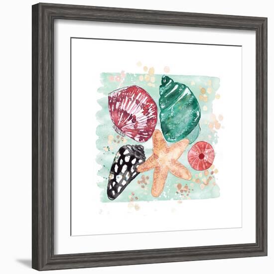 Beachcomber Shells-Sara Berrenson-Framed Art Print