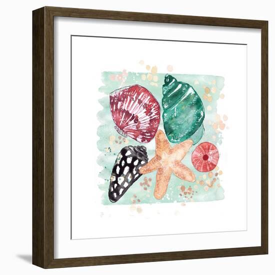 Beachcomber Shells-Sara Berrenson-Framed Art Print