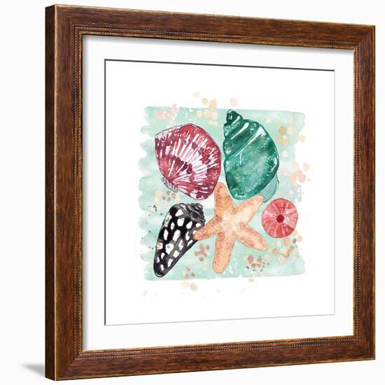 Beachcomber Shells-Sara Berrenson-Framed Art Print