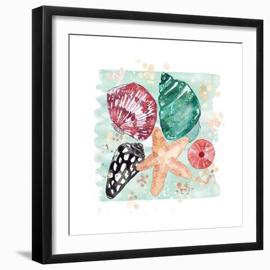 Beachcomber Shells-Sara Berrenson-Framed Art Print