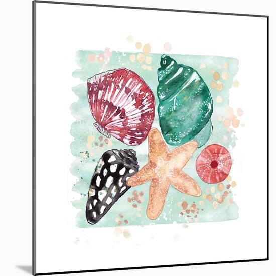 Beachcomber Shells-Sara Berrenson-Mounted Art Print