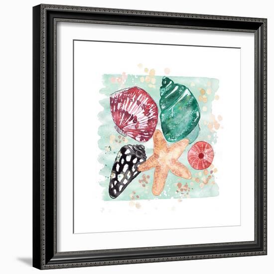 Beachcomber Shells-Sara Berrenson-Framed Art Print