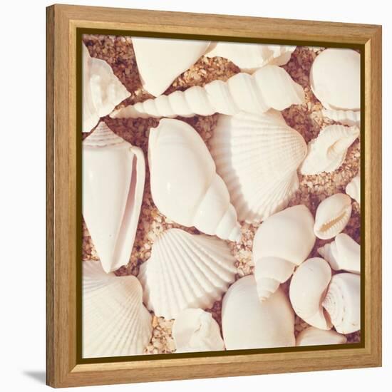 Beachcomber-Carolyn Cochrane-Framed Stretched Canvas