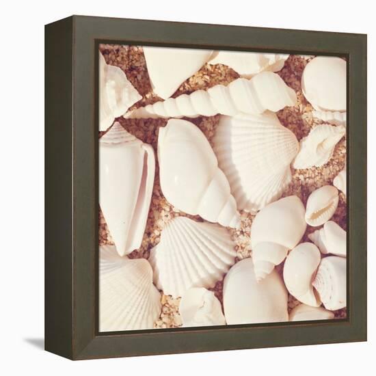 Beachcomber-Carolyn Cochrane-Framed Stretched Canvas