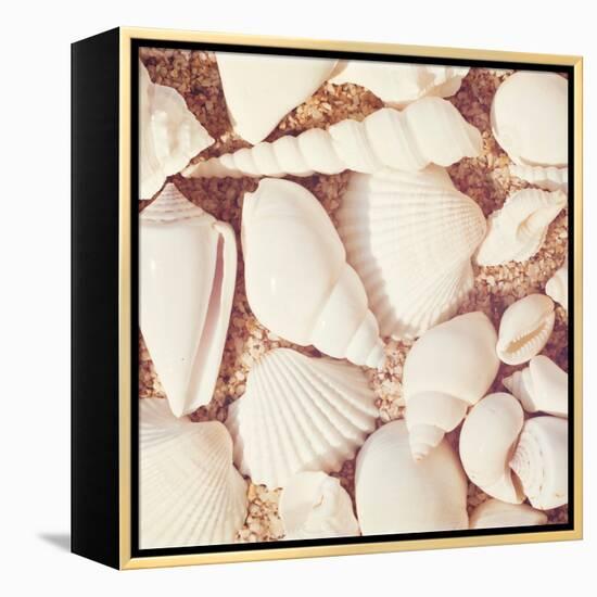 Beachcomber-Carolyn Cochrane-Framed Stretched Canvas