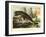 Beached Sperm Whale-null-Framed Art Print