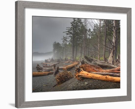 Beached Trees From Ocean Storms, Rialto Beach, Olympic National Park, Washington, USA-Jamie & Judy Wild-Framed Photographic Print