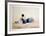 Beached-Jean L^ Barton-Framed Collectable Print