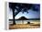 Beachgoers Relaxing at Veradero Beach in Cuba-Eliot Elisofon-Framed Premier Image Canvas