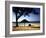 Beachgoers Relaxing at Veradero Beach in Cuba-Eliot Elisofon-Framed Photographic Print