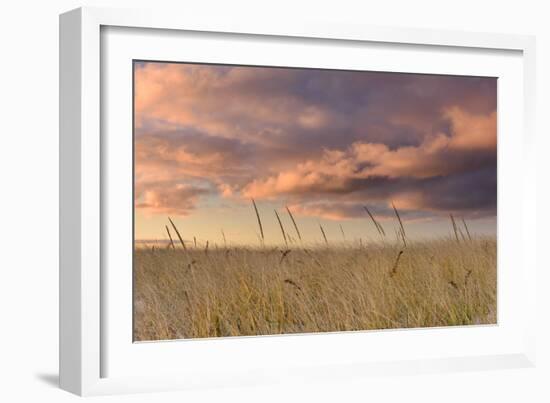 Beachgrass Sunrise-Michael Blanchette Photography-Framed Photographic Print