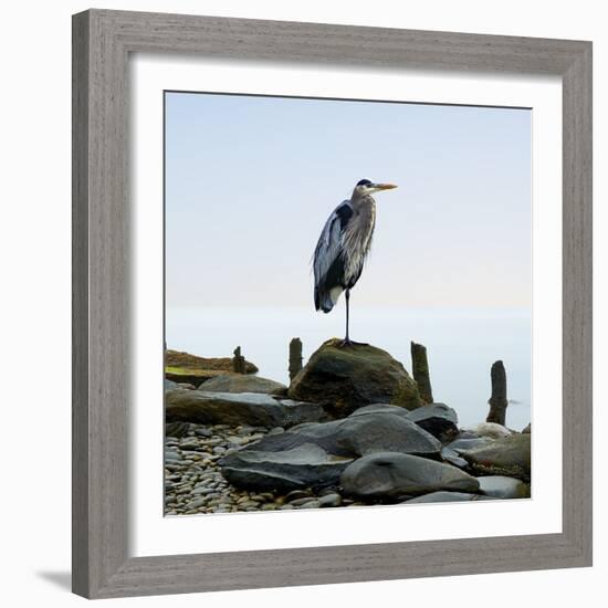 Beachscape Heron I-James McLoughlin-Framed Photographic Print