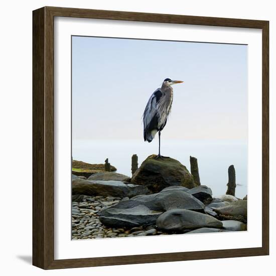 Beachscape Heron I-James McLoughlin-Framed Photographic Print