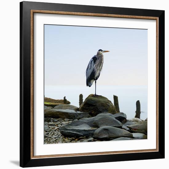 Beachscape Heron I-James McLoughlin-Framed Photographic Print