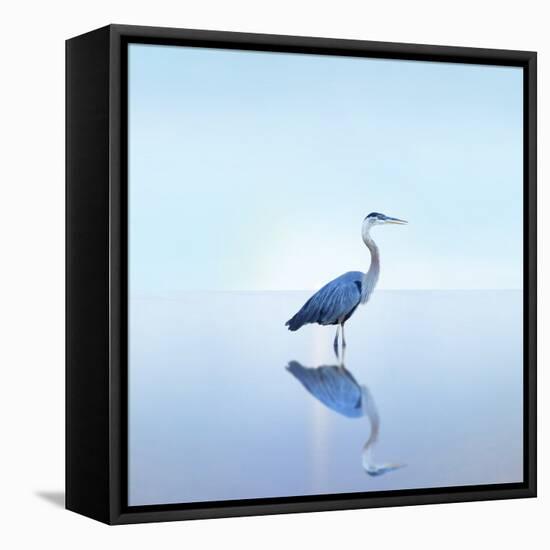 Beachscape Heron II-James McLoughlin-Framed Premier Image Canvas