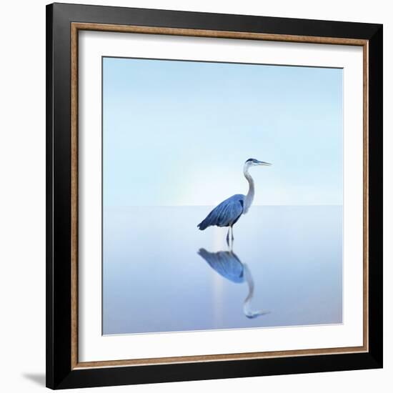 Beachscape Heron II-James McLoughlin-Framed Photographic Print