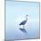 Beachscape Heron II-James McLoughlin-Mounted Photographic Print