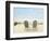 Beachscape Photo I-James McLoughlin-Framed Photographic Print