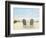 Beachscape Photo I-James McLoughlin-Framed Photographic Print