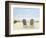 Beachscape Photo I-James McLoughlin-Framed Photographic Print