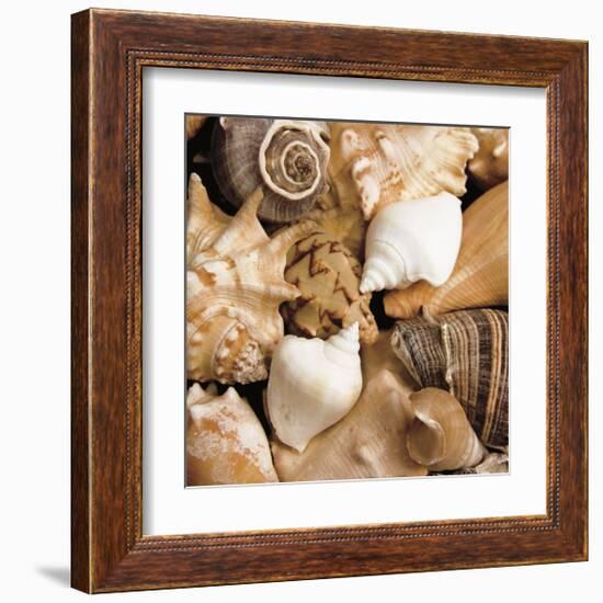 Beachside Shells-Boyce Watt-Framed Giclee Print