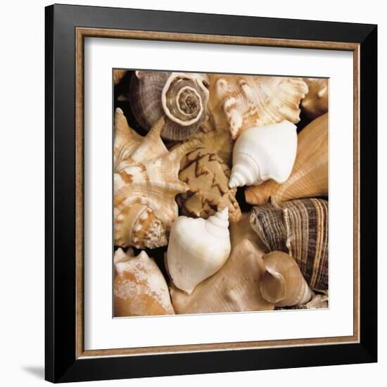 Beachside Shells-Boyce Watt-Framed Giclee Print