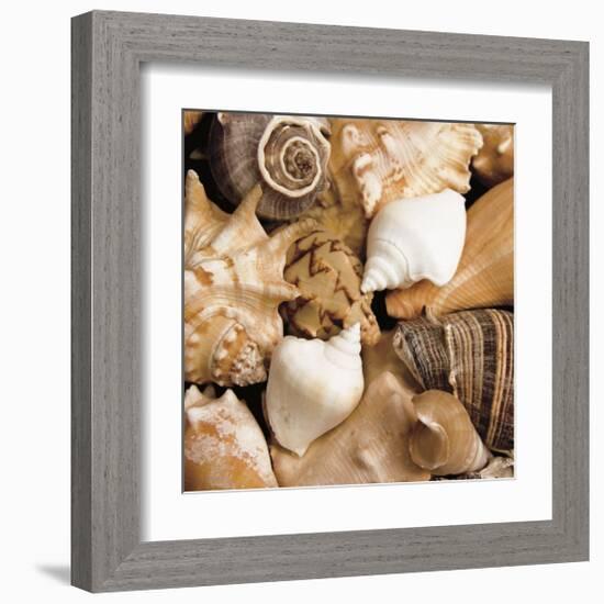 Beachside Shells-Boyce Watt-Framed Giclee Print