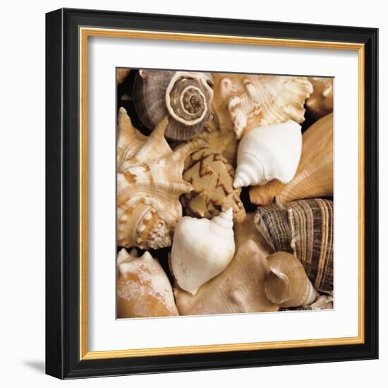 Beachside Shells-Boyce Watt-Framed Giclee Print