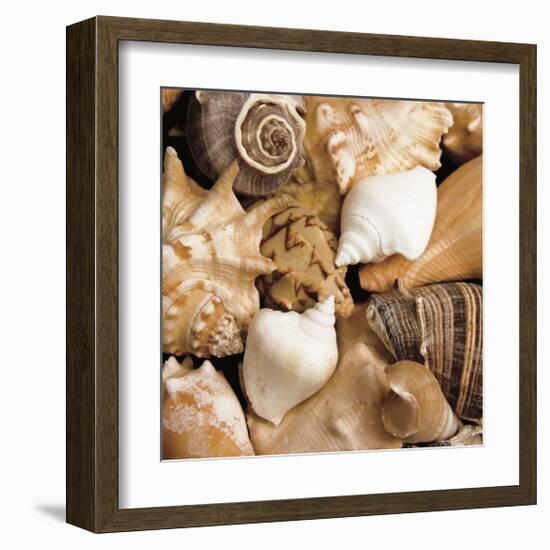 Beachside Shells-Boyce Watt-Framed Giclee Print