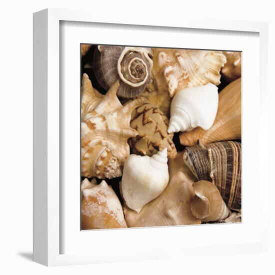 Beachside Shells-Boyce Watt-Framed Giclee Print