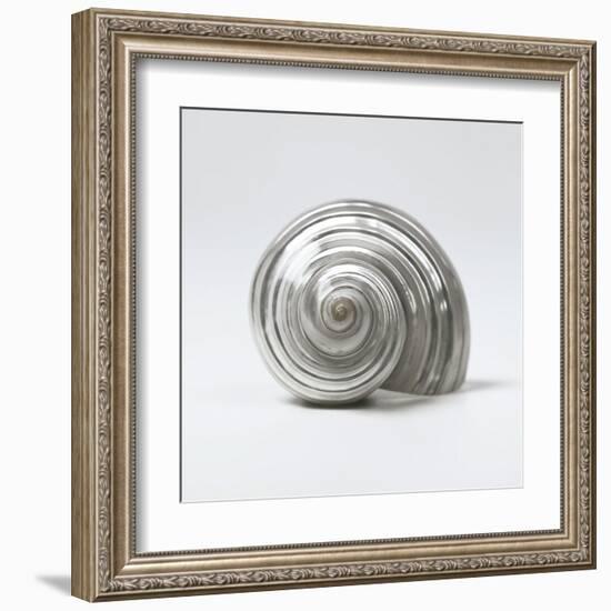 Beachside Treasure II-Assaf Frank-Framed Art Print