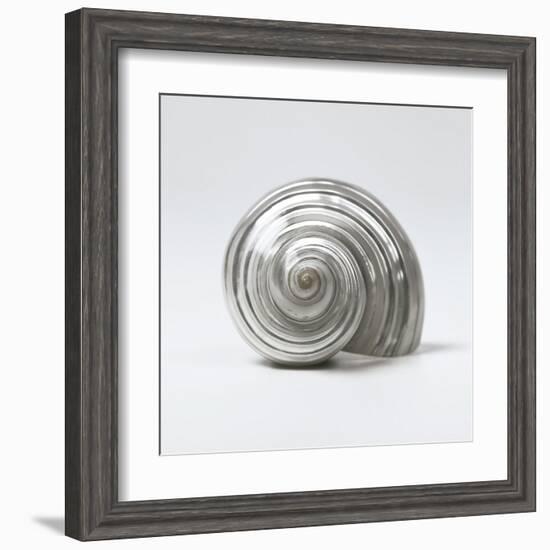 Beachside Treasure II-Assaf Frank-Framed Art Print