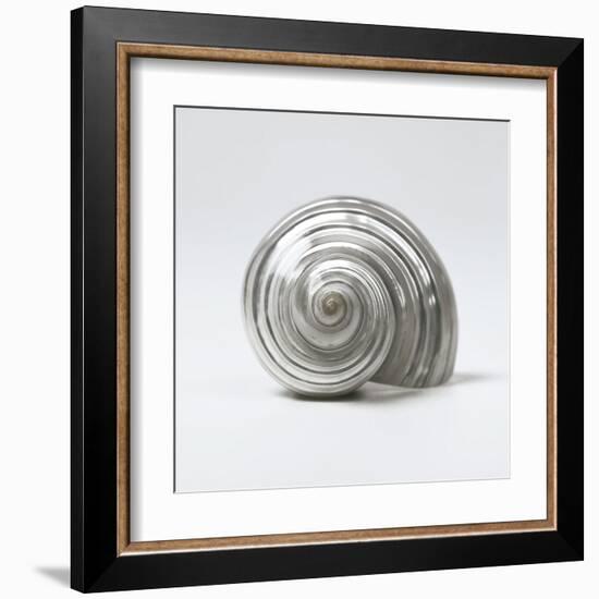 Beachside Treasure II-Assaf Frank-Framed Art Print