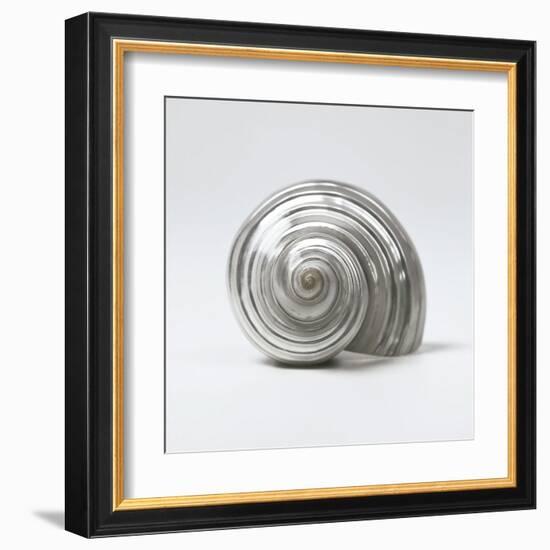 Beachside Treasure II-Assaf Frank-Framed Art Print