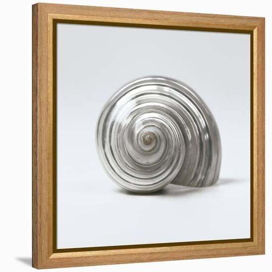 Beachside Treasure II-Assaf Frank-Framed Stretched Canvas