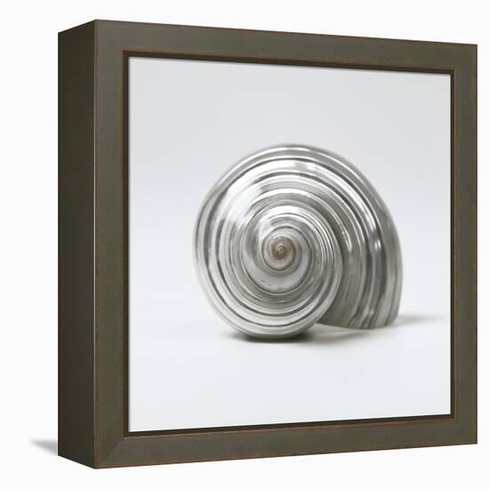 Beachside Treasure II-Assaf Frank-Framed Stretched Canvas