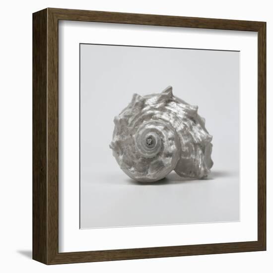 Beachside Treasure III-Assaf Frank-Framed Art Print