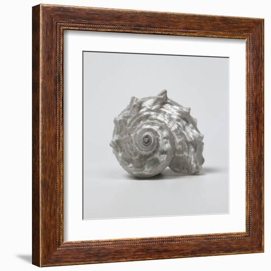 Beachside Treasure III-Assaf Frank-Framed Art Print