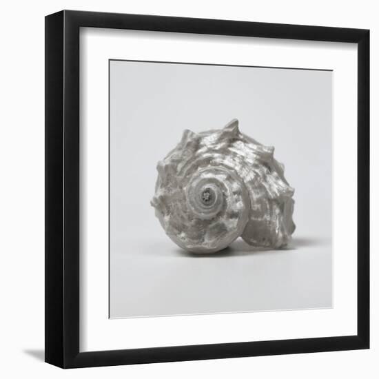 Beachside Treasure III-Assaf Frank-Framed Art Print