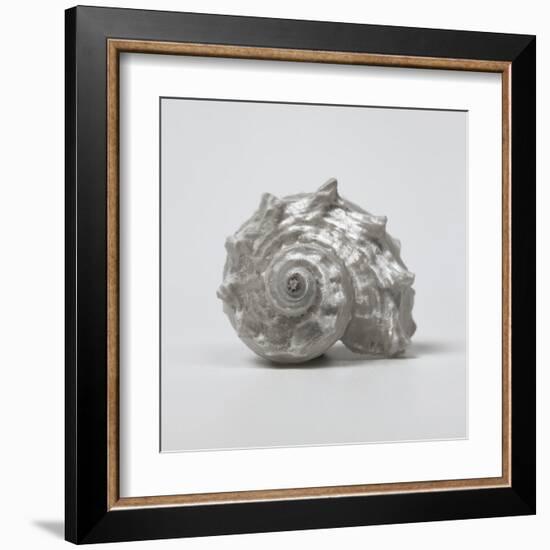 Beachside Treasure III-Assaf Frank-Framed Art Print