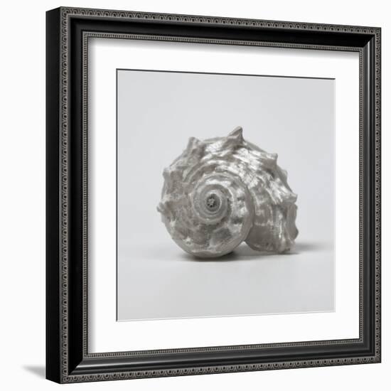 Beachside Treasure III-Assaf Frank-Framed Art Print