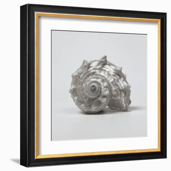 Beachside Treasure III-Assaf Frank-Framed Art Print