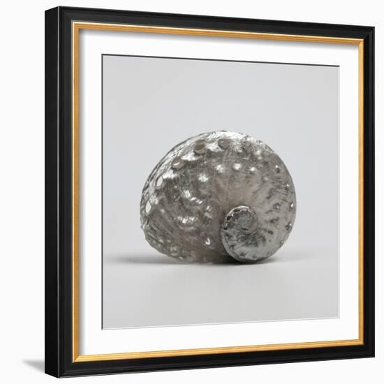 Beachside Treasure IV-Assaf Frank-Framed Art Print