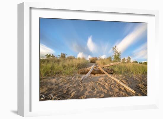 Beachwood Summer-5fishcreative-Framed Giclee Print