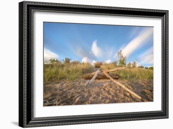 Beachwood Summer-5fishcreative-Framed Giclee Print