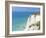 Beachy Head and Lighthouse on Chalk Cliffs, East Sussex, England, UK, Europe-John Miller-Framed Photographic Print