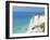 Beachy Head and Lighthouse on Chalk Cliffs, East Sussex, England, UK, Europe-John Miller-Framed Photographic Print