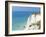 Beachy Head and Lighthouse on Chalk Cliffs, East Sussex, England, UK, Europe-John Miller-Framed Photographic Print
