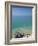 Beachy Head Lighthouse, East Sussex, English Channel, England, United Kingdom, Europe-Neale Clarke-Framed Photographic Print